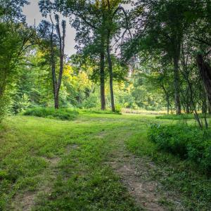 Photo #54 of TBD BRIDGEPORT RD, ARVONIA, VA 29.6 acres