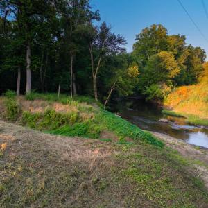 Photo #44 of TBD BRIDGEPORT RD, ARVONIA, VA 29.6 acres
