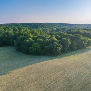 Photo #17 of TBD BRIDGEPORT RD, ARVONIA, VA 29.6 acres