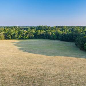 Photo #18 of TBD BRIDGEPORT RD, ARVONIA, VA 29.6 acres