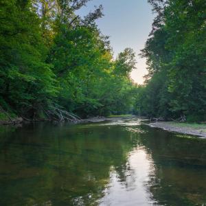 Photo #42 of TBD BRIDGEPORT RD, ARVONIA, VA 29.6 acres