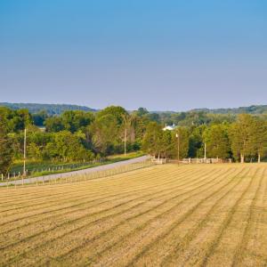Photo #9 of TBD BRIDGEPORT RD, ARVONIA, VA 29.6 acres