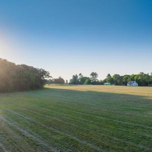 Photo #16 of TBD BRIDGEPORT RD, ARVONIA, VA 29.6 acres