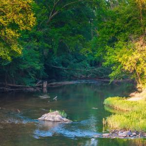 Photo #35 of TBD BRIDGEPORT RD, ARVONIA, VA 29.6 acres