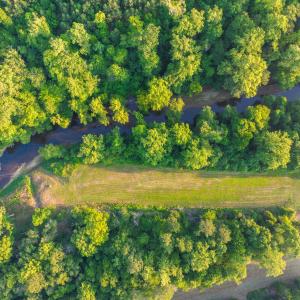 Photo #32 of TBD BRIDGEPORT RD, ARVONIA, VA 29.6 acres