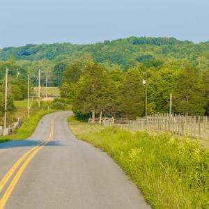 Photo #6 of TBD BRIDGEPORT RD, ARVONIA, VA 29.6 acres