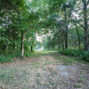 Photo #46 of TBD BRIDGEPORT RD, ARVONIA, VA 29.6 acres