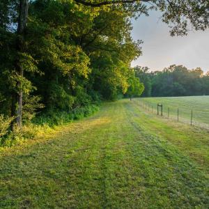 Photo #21 of TBD BRIDGEPORT RD, ARVONIA, VA 29.6 acres