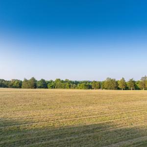 Photo #15 of TBD BRIDGEPORT RD, ARVONIA, VA 29.6 acres