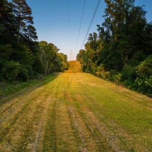 Photo #33 of TBD BRIDGEPORT RD, ARVONIA, VA 29.6 acres
