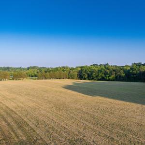 Photo #19 of TBD BRIDGEPORT RD, ARVONIA, VA 29.6 acres