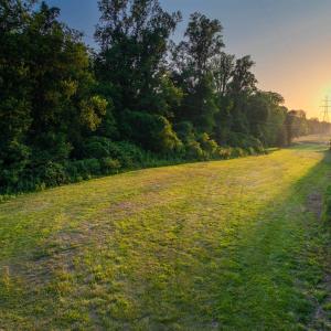 Photo #34 of TBD BRIDGEPORT RD, ARVONIA, VA 29.6 acres