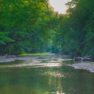 Photo #39 of TBD BRIDGEPORT RD, ARVONIA, VA 29.6 acres