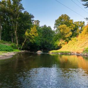 Photo #41 of TBD BRIDGEPORT RD, ARVONIA, VA 29.6 acres