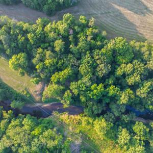 Photo #29 of TBD BRIDGEPORT RD, ARVONIA, VA 29.6 acres