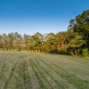 Photo #20 of TBD BRIDGEPORT RD, ARVONIA, VA 29.6 acres