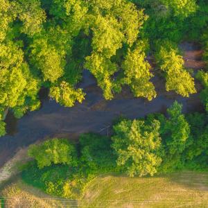Photo #31 of TBD BRIDGEPORT RD, ARVONIA, VA 29.6 acres