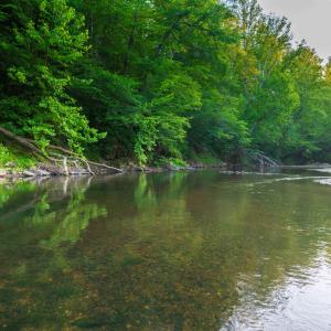 Photo #36 of TBD BRIDGEPORT RD, ARVONIA, VA 29.6 acres