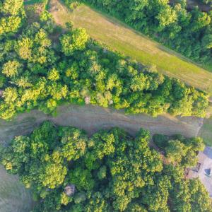 Photo #28 of TBD BRIDGEPORT RD, ARVONIA, VA 29.6 acres