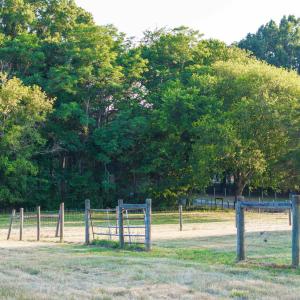 Photo #11 of TBD BRIDGEPORT RD, ARVONIA, VA 29.6 acres
