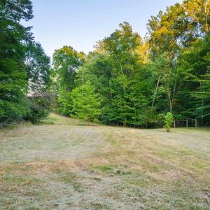 Photo #53 of TBD BRIDGEPORT RD, ARVONIA, VA 29.6 acres