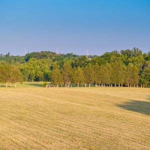 Photo #8 of TBD BRIDGEPORT RD, ARVONIA, VA 29.6 acres