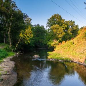 Photo #38 of TBD BRIDGEPORT RD, ARVONIA, VA 29.6 acres