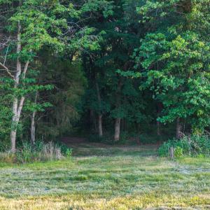 Photo #45 of TBD BRIDGEPORT RD, ARVONIA, VA 29.6 acres