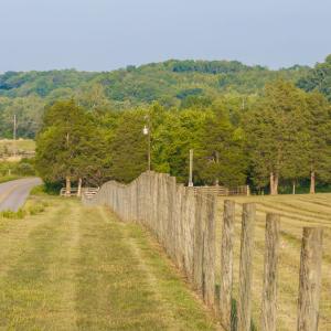 Photo #7 of TBD BRIDGEPORT RD, ARVONIA, VA 29.6 acres