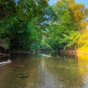 Photo #37 of TBD BRIDGEPORT RD, ARVONIA, VA 29.6 acres
