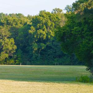 Photo #10 of TBD BRIDGEPORT RD, ARVONIA, VA 29.6 acres