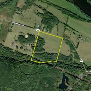 Photo #58 of TBD BRIDGEPORT RD, ARVONIA, VA 29.6 acres
