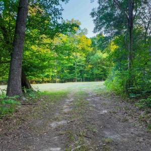 Photo #51 of TBD BRIDGEPORT RD, ARVONIA, VA 29.6 acres