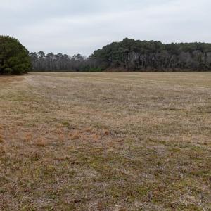 Photo #14 of SAND HILL DR, CAPE CHARLES, VA 19.4 acres
