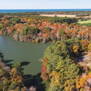 Photo #31 of SAND HILL DR, CAPE CHARLES, VA 19.4 acres