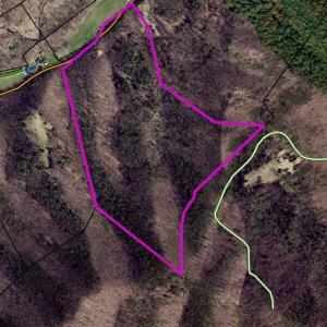 Photo #3 of TBD CRIDERS RD, BERGTON, VA 54.5 acres