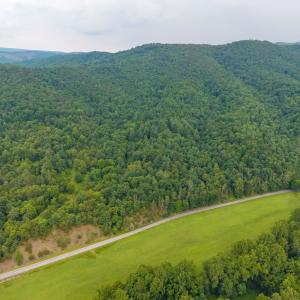 Photo #17 of TBD CRIDERS RD, BERGTON, VA 54.5 acres