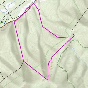 Photo #4 of TBD CRIDERS RD, BERGTON, VA 54.5 acres