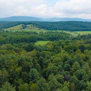 Photo #7 of TBD CRIDERS RD, BERGTON, VA 54.5 acres