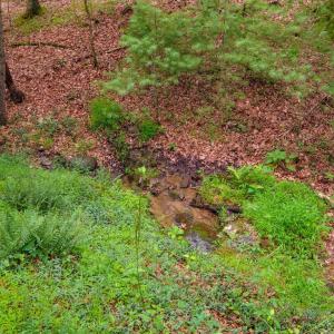 Photo #9 of TBD CRIDERS RD, BERGTON, VA 54.5 acres