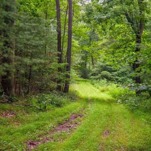 Photo #10 of TBD CRIDERS RD, BERGTON, VA 54.5 acres
