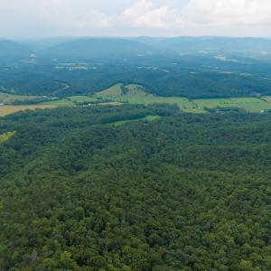 Photo #21 of TBD CRIDERS RD, BERGTON, VA 54.5 acres
