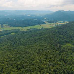 Photo #19 of TBD CRIDERS RD, BERGTON, VA 54.5 acres