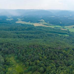 Photo #22 of TBD CRIDERS RD, BERGTON, VA 54.5 acres