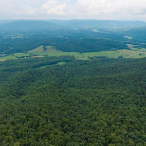 Photo #20 of TBD CRIDERS RD, BERGTON, VA 54.5 acres