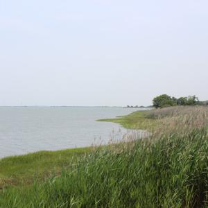 Photo #13 of Lot 20 SANDPIPER LANE, ATLANTIC, VA 153.0 acres