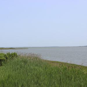 Photo #15 of Lot 20 SANDPIPER LANE, ATLANTIC, VA 153.0 acres