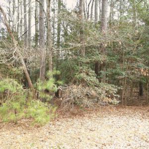 Photo #2 of Lot 20 SANDPIPER LANE, ATLANTIC, VA 153.0 acres