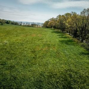 Photo #19 of TBD GRASSLAND LN, BROADWAY, VA 25.8 acres