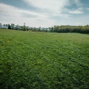 Photo #25 of TBD GRASSLAND LN, BROADWAY, VA 25.8 acres